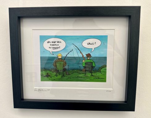 Was heißt Wels auf Englisch?